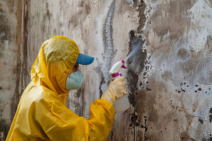 Mold Inspection